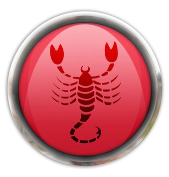 signe du zodiac: scorpion